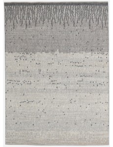 AM12197